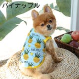 ドッグウェア ペットウェア タンクトップ | PlusNao | 詳細画像11 