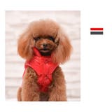 犬用ベスト ダウン風ベスト 犬用アウター | PlusNao | 詳細画像10 