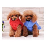 犬用ベスト ダウン風ベスト 犬用アウター | PlusNao | 詳細画像3 
