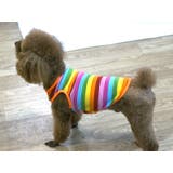 ペットウェア タンクトップ 犬服 | PlusNao | 詳細画像5 