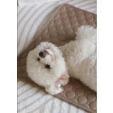 ペットマット 犬用マット 猫用マット | PlusNao | 詳細画像4