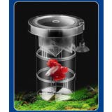 繁殖隔離ケース 産卵ケース 隔離ケース | PlusNao | 詳細画像4