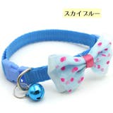 首輪 ペット用首輪 カラー | PlusNao | 詳細画像10 