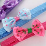 首輪 ペット用首輪 カラー | PlusNao | 詳細画像3 