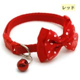 首輪 ペット用首輪 カラー | PlusNao | 詳細画像8 