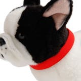 首輪 犬用 単品 | PlusNao | 詳細画像2