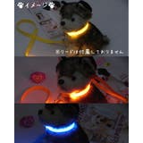 首輪 犬用 単品 | PlusNao | 詳細画像3