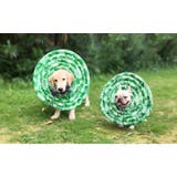 ペット用 犬用 エリザベスカラー | PlusNao | 詳細画像10 