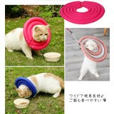 ペット用 犬用 エリザベスカラー | PlusNao | 詳細画像11 