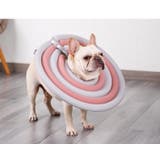 ペット用 犬用 エリザベスカラー | PlusNao | 詳細画像13 