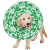ペット用 犬用 エリザベスカラー | PlusNao | 詳細画像3 