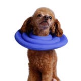ペット用 犬用 エリザベスカラー | PlusNao | 詳細画像4 