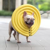 ペット用 犬用 エリザベスカラー | PlusNao | 詳細画像5 
