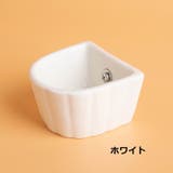 フードボウル 小動物用 ペットボウル | PlusNao | 詳細画像16