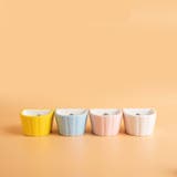 フードボウル 小動物用 ペットボウル | PlusNao | 詳細画像4