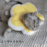 エリザベスカラー 猫 犬 | PlusNao | 詳細画像1