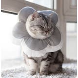 エリザベスカラー 猫 犬 | PlusNao | 詳細画像12