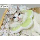 エリザベスカラー 猫 犬 | PlusNao | 詳細画像15