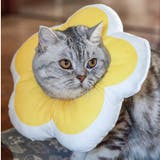 エリザベスカラー 猫 犬 | PlusNao | 詳細画像3