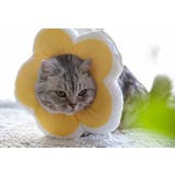エリザベスカラー 猫 犬 | PlusNao | 詳細画像4