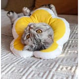 エリザベスカラー 猫 犬 | PlusNao | 詳細画像5
