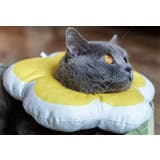 エリザベスカラー 猫 犬 | PlusNao | 詳細画像6