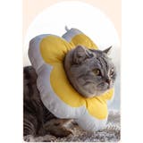 エリザベスカラー 猫 犬 | PlusNao | 詳細画像7