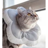 エリザベスカラー 猫 犬 | PlusNao | 詳細画像9