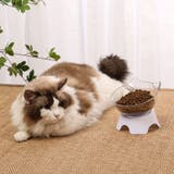 フードボウル ウォーターボウル ネコ耳 | PlusNao | 詳細画像3 