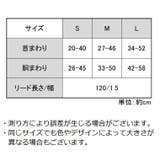 ハーネス リード セット | PlusNao | 詳細画像18
