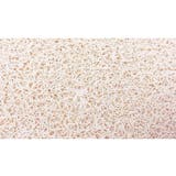 砂取りマット 猫用 ネコ | PlusNao | 詳細画像10 