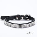 首輪 犬用 ペット用 | PlusNao | 詳細画像7 