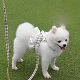 ペット用ハーネスリード ハーネス 胴輪 | PlusNao | 詳細画像2 