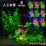 観賞魚用☆水草育成セット˚✧₊⁎❝᷀ົཽ 1.jpg
