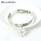 首輪 カラー チョーカー | PlusNao | 詳細画像10 