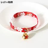 首輪 カラー チョーカー | PlusNao | 詳細画像13 