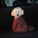 ペット用バスローブ ペット用タオル 小型犬 | PlusNao | 詳細画像2 