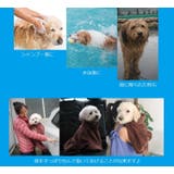 ペット用バスローブ ペット用タオル 小型犬 | PlusNao | 詳細画像10 