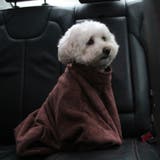 ペット用バスローブ ペット用タオル 小型犬 | PlusNao | 詳細画像4 