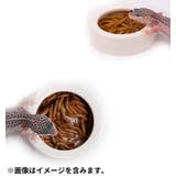 エサ入れ 餌入れ 水入れ | PlusNao | 詳細画像17