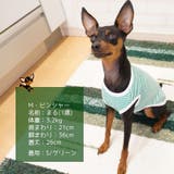 ペット服 タンクトップ 犬 | PlusNao | 詳細画像7 