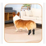 ペット用サポーター 同色2個セット 左右セット | PlusNao | 詳細画像6 