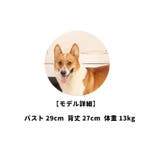 ペット用サポーター 同色2個セット 左右セット | PlusNao | 詳細画像7 