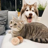 遺毛ケース ペット 犬 | PlusNao | 詳細画像4