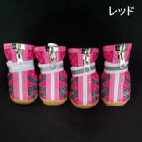 犬用靴 ブーツ ドッグシューズ | PlusNao | 詳細画像16