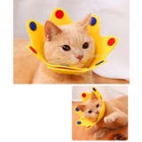 エリザベスカラー 猫 ネコ | PlusNao | 詳細画像2