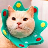 エリザベスカラー 猫 ネコ | PlusNao | 詳細画像6