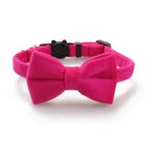 猫用首輪 ネコ用 ペット用品 | PlusNao | 詳細画像10 