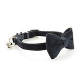 猫用首輪 ネコ用 ペット用品 | PlusNao | 詳細画像11 