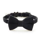 猫用首輪 ネコ用 ペット用品 | PlusNao | 詳細画像5 